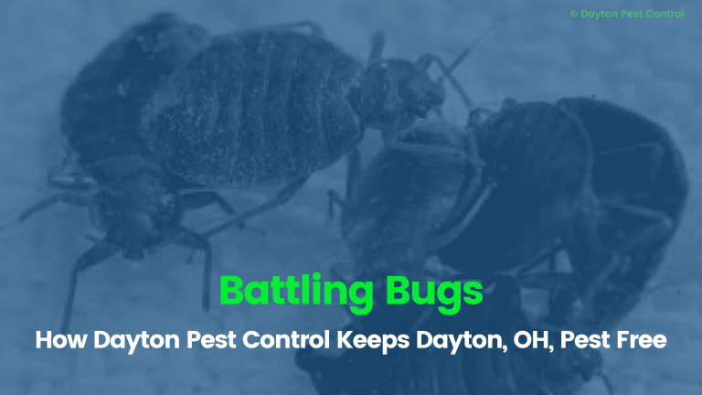 How Dayton Pest Control Keeps Dayton OH, Pest Free